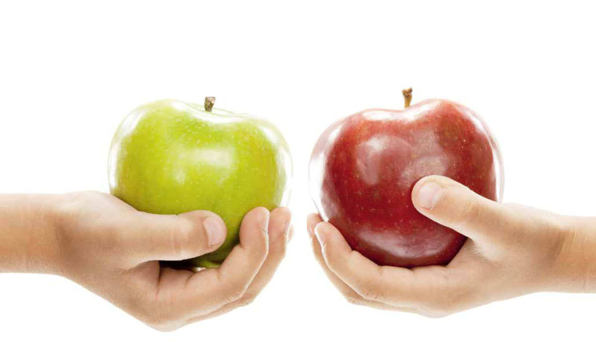 Bilancio Sociale 2015