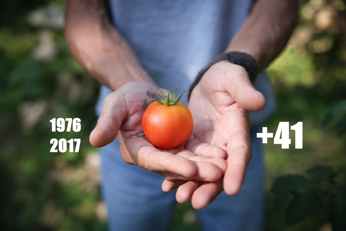 +41: Auguri alla Cooperativa di Bessimo!