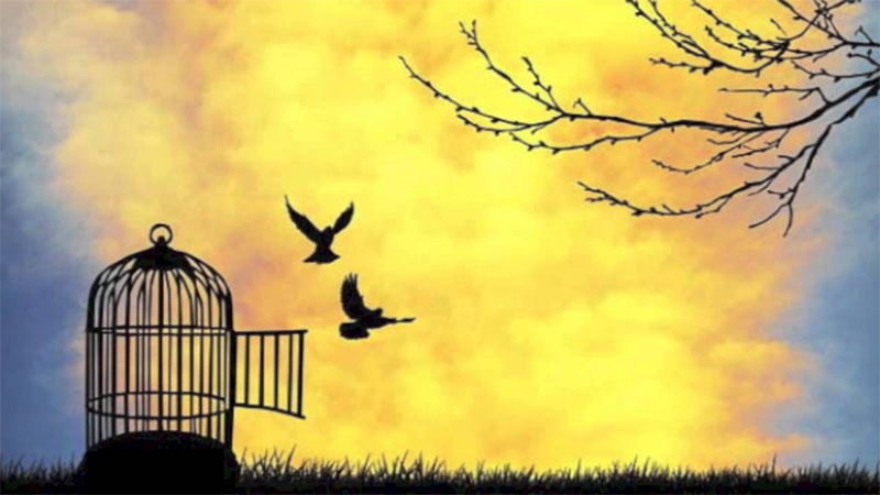 Garante dei detenuti: la relazione annuale