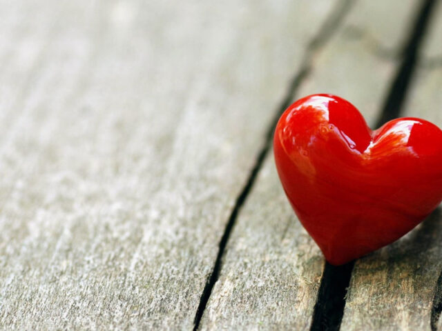 oltre-terapia-13-volontariato-disabili-00 https://demo5.demo.servonet.it/wp-content/uploads/2025/11/oltre-terapia-13-volontariato-disabili-00-640x480.jpg