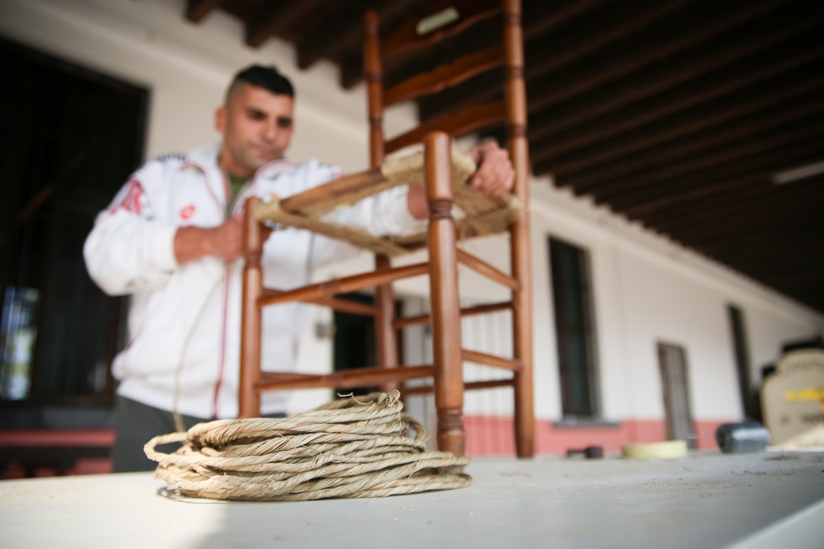 laboratori_foto_2017-13